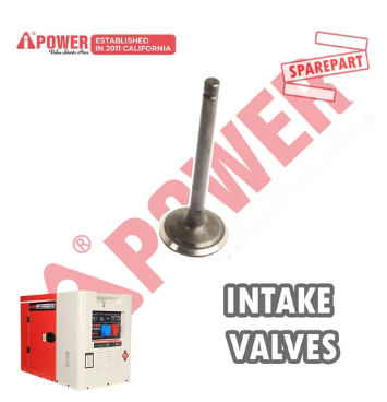 INTAKE VALVE